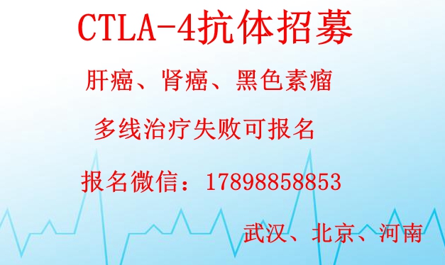 CTLA-4抗体.jpg